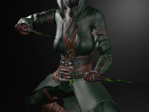 Poisoner Assassin Female Character - Fantasy 3D Model