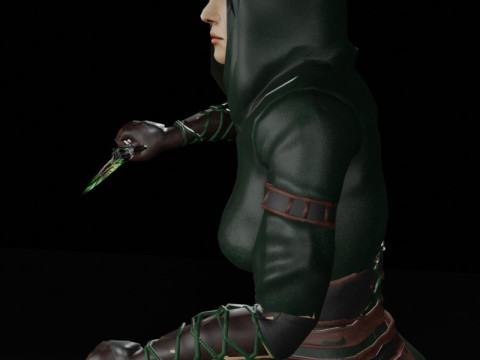 Poisoner Assassin Female Character - Fantasy 3D Модель