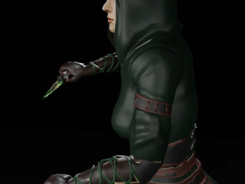 Poisoner Assassin Female Character - Fantasy 3D Model