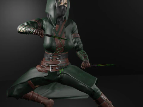 Poisoner Assassin Female Character - Fantasy 3D Model