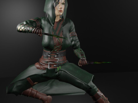 Poisoner Assassin Female Character - Fantasy 3D Модель