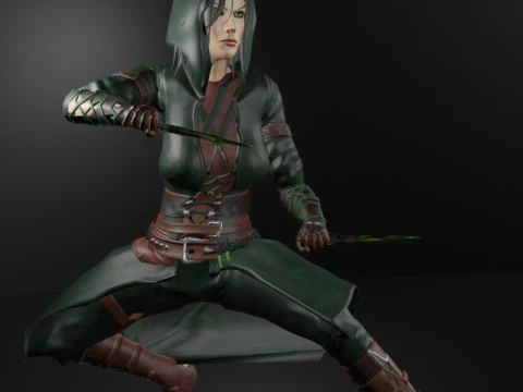 Poisoner Assassin Female Character - Fantasy 3D Model