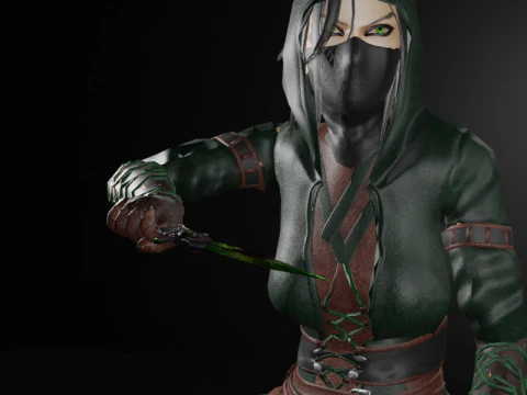 Poisoner Assassin Female Character - Fantasy 3D Model