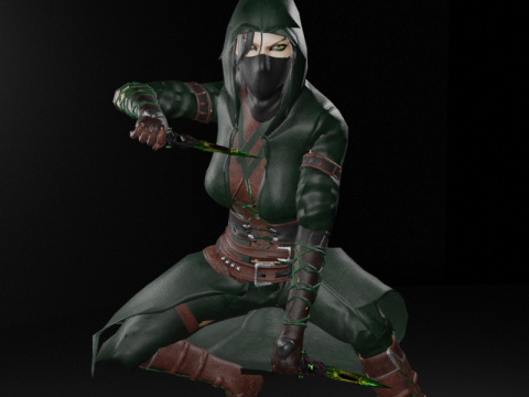 Poisoner Assassin Female Character - Fantasy 3D Модель
