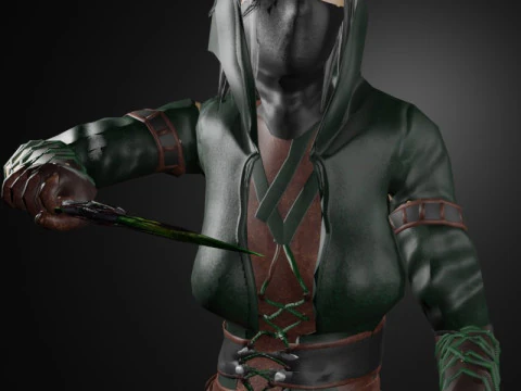 Poisoner Assassin Female Character - Fantasy 3D Model