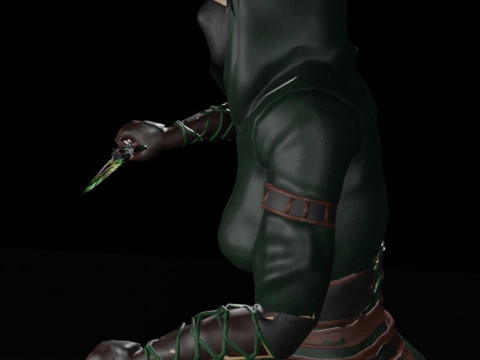 Poisoner Assassin Female Character - Fantasy 3D Модель