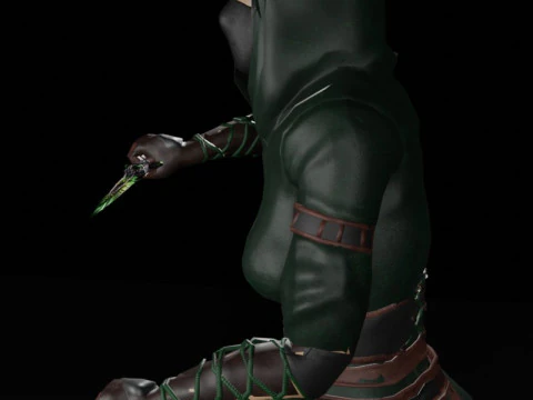 Poisoner Assassin Female Character - Fantasy 3D Model