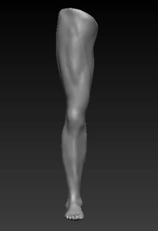 Low poly leg Modelo 3D 3D Model .c4d .max .obj .3ds .fbx .stl .blend 