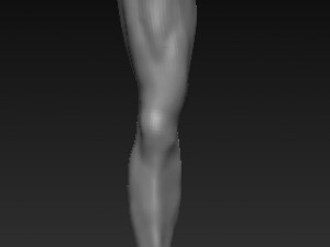 Low poly leg Modelo 3D 3Dモデル