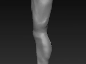 Low poly leg Modelo 3D 3D Model