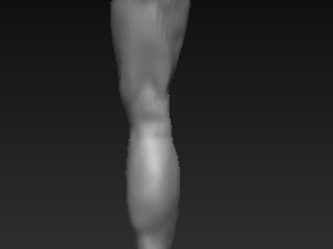 Low poly leg Modelo 3D Modelo 3D