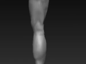 Low poly leg Modelo 3D 3D Model