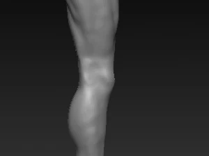 Low poly leg Modelo 3D 3D Model