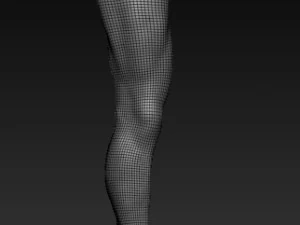 Low poly leg Modelo 3D 3D Model