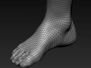 Low poly leg Modelo 3D 3D Model