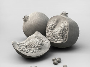 Pomegranate 3D Model