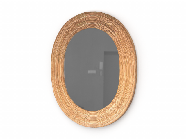 Mirror 3D 모델 .c4d .max .obj .3ds .fbx .stl .blend 