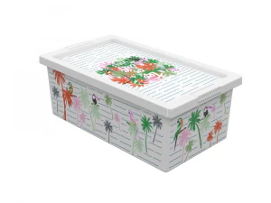 H2000402 CAIXA MULTICOLOR Modelo 3D