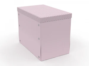 H2000505 КОРОБКА РІЗНОКОЛЬОРОВА 3D Модель