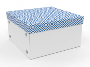 H2000506 КОРОБКА РІЗНОКОЛЬОРОВА 3D Модель