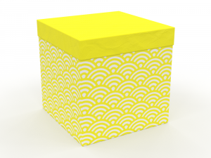 H2000507 BOX YELLOW Model 3D