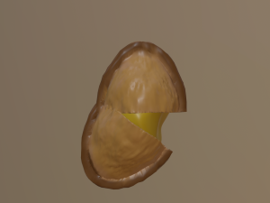 Pasticciotto leccese 3D Модель