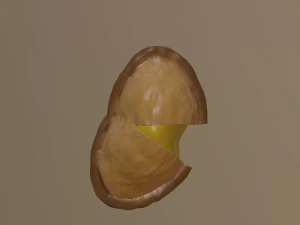 Pasticciotto leccese 3D Model