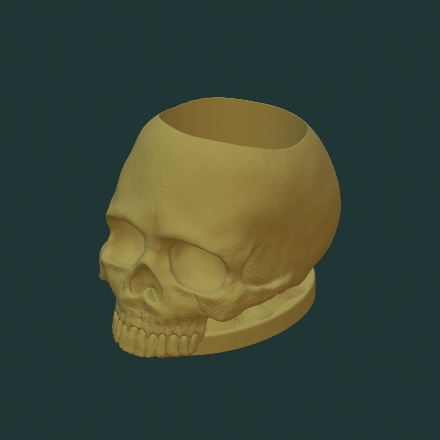 Skull pen holder 3D Model .c4d .max .obj .3ds .fbx .stl .blend