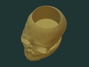 Skull pen holder 3D Model