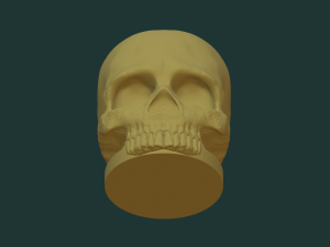 Skull pen holder 3D Model