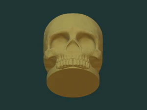 Skull pen holder 3D Model