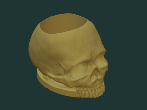 Skull pen holder 3D Model
