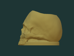 Skull pen holder 3D Model