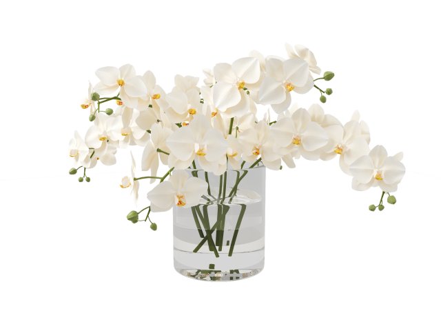 Faux White Orchid Phalaenopsis in Glass Vase 3D मॉडल .c4d .max .obj .3ds .fbx .stl .blend 