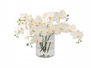 Faux White Orchid Phalaenopsis in Glass Vase 3D Model