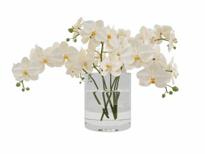 Faux White Orchid Phalaenopsis in Glass Vase 3D Model