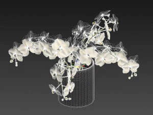 Faux White Orchid Phalaenopsis in Glass Vase 3D Model