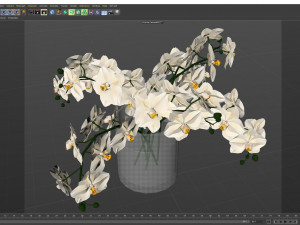 Faux White Orchid Phalaenopsis in Glass Vase 3D मॉडल