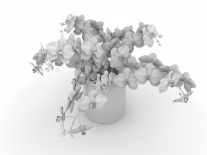 Faux White Orchid Phalaenopsis in Glass Vase 3D मॉडल
