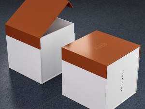Gift box magnetic 001 3D Модель