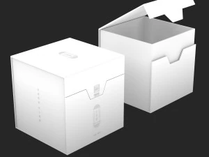 Gift box magnetic 001 3D Model
