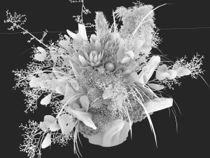 Planta de casa 001 Modelo 3D