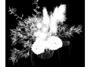 Houseplant 001 3D Model