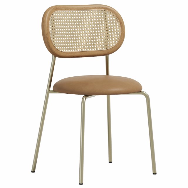 Rattan Dining Chair Stainless Steel 3D Modell .c4d .max .obj .3ds .fbx .stl .blend 