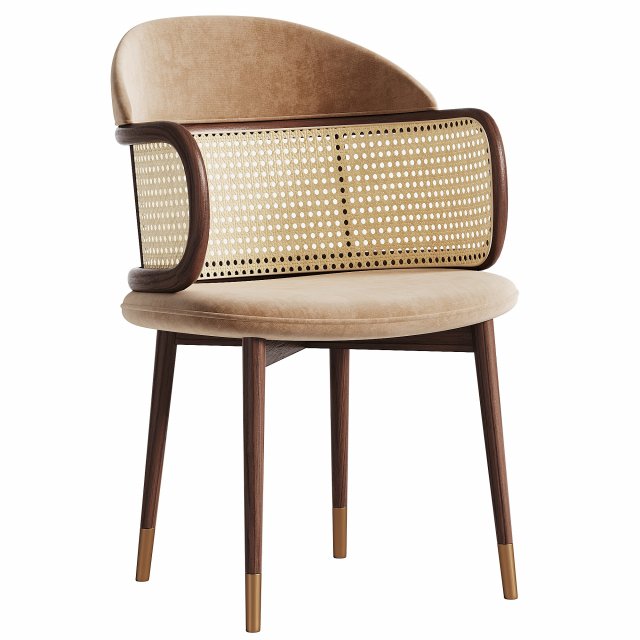 WR 1309 Leather Dining Chair With Arc-shape Rattan Arm 3D Model .c4d .max .obj .3ds .fbx .stl .blend 
