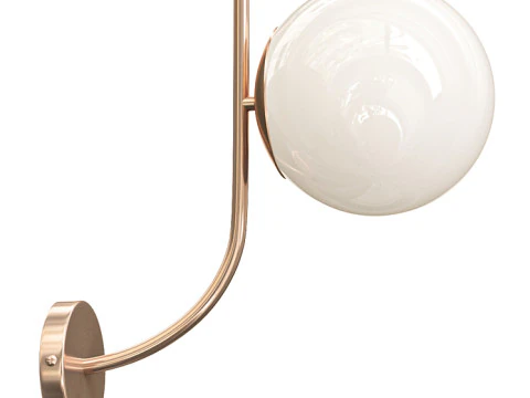 Felicitatbra Model 3D