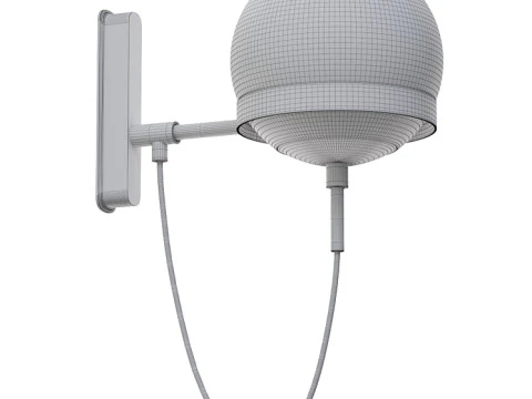 Muro dell'orbita Modello 3D