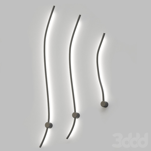 Reidi 3D Модель .c4d .max .obj .3ds .fbx .stl .blend