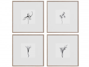 Picture Frame Set 4 3D 모델