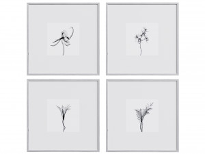Picture Frame Set 4 3D 모델